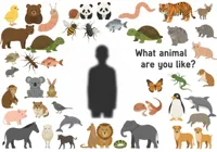 你像什麼動物？