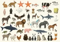 测测你是什么动物2.0